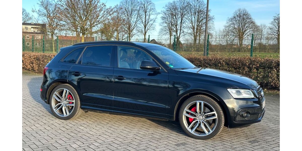 Audi SQ5 162.000 km 21.500 &euro; Lüdinghausen 59348