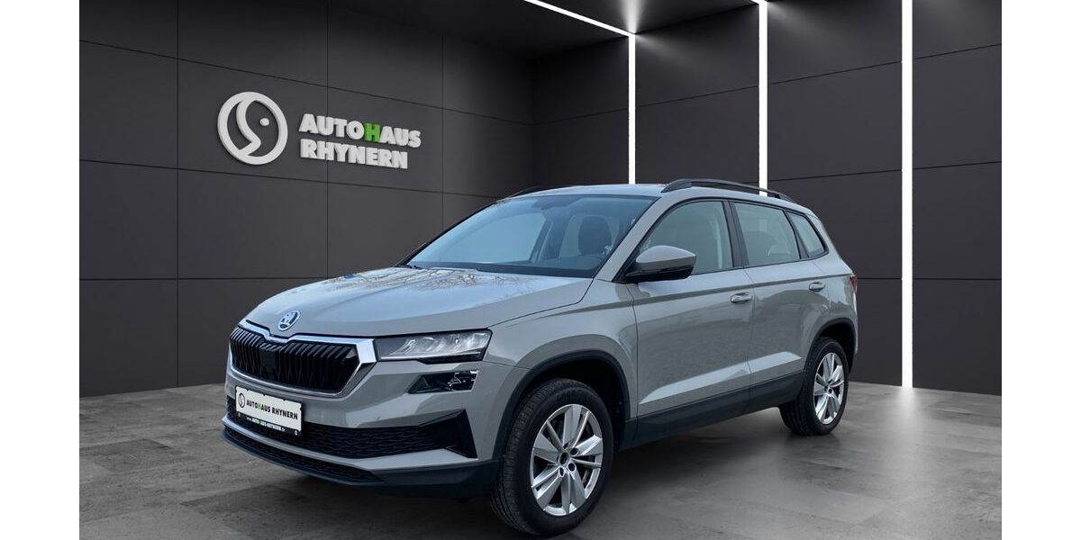 Skoda Karoq 91.100 km 20.890 &euro; Hamm 59069