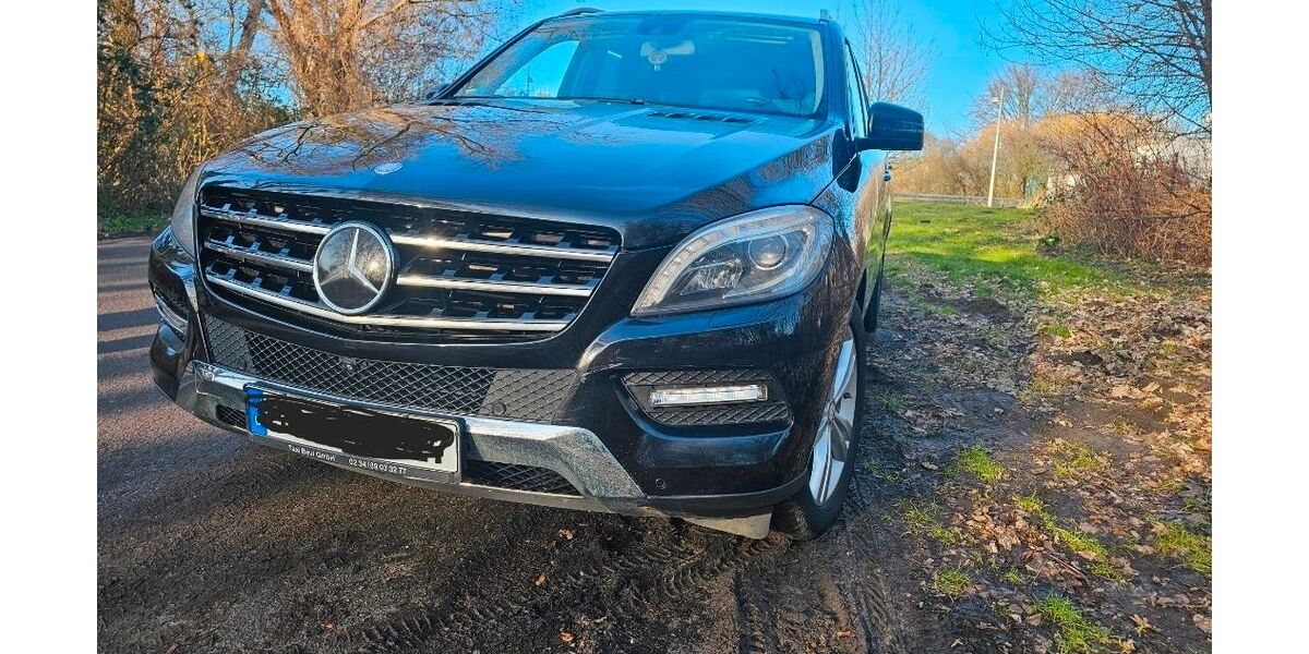 Mercedes-Benz ML 350 185.000 km 17.990 &euro; Dortmund 44139