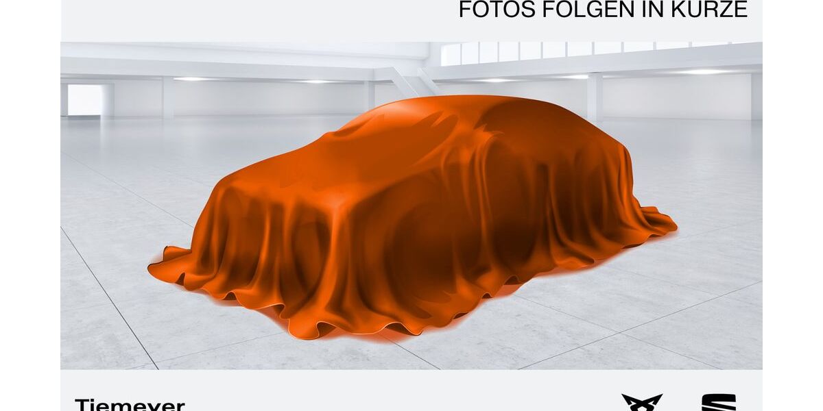 Cupra Formentor 39.178 km 29.690 &euro; Hemer 58675