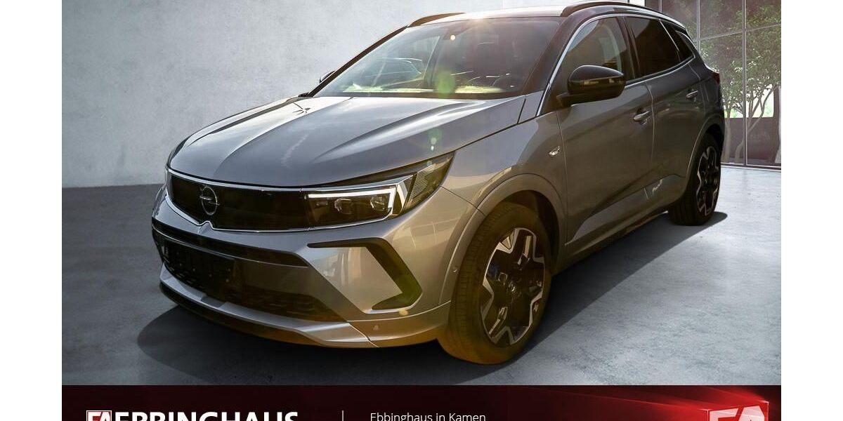 Opel Grandland (X) 75.638 km 19.499 &euro; Kamen 59174