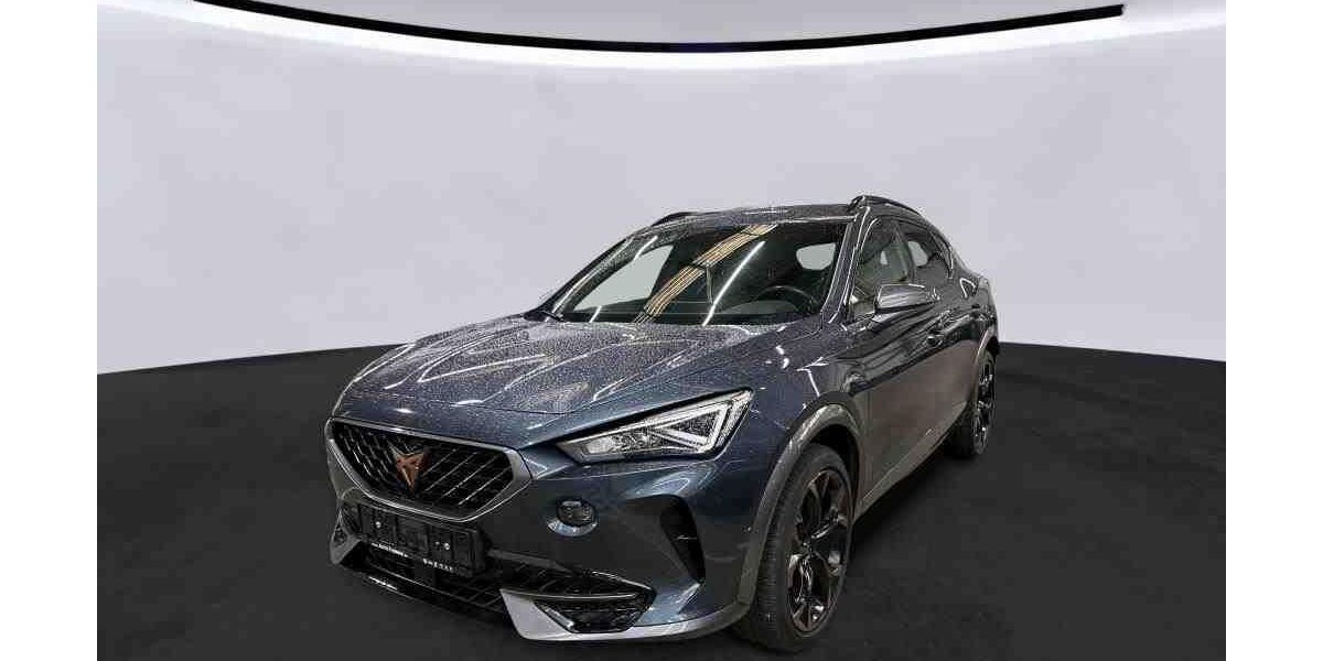 Cupra Formentor 128.402 km 23.987 &euro; Hamm 59067